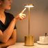 LED prenosiva lampa
