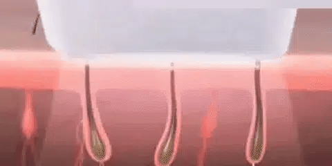 Demonstracija upotrebe