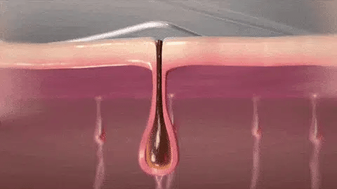 Demonstracija upotrebe