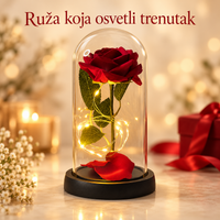 Ruža u staklenom zvonu
