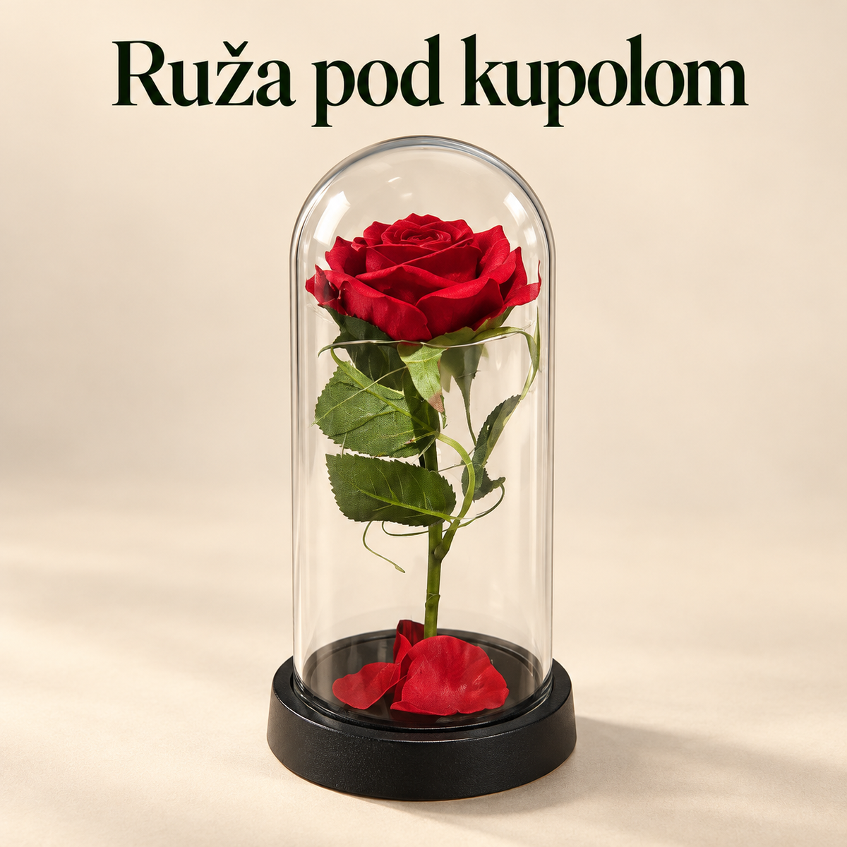 Ruža pod kupolom — Kupi Ružu i izaberi Torbicu