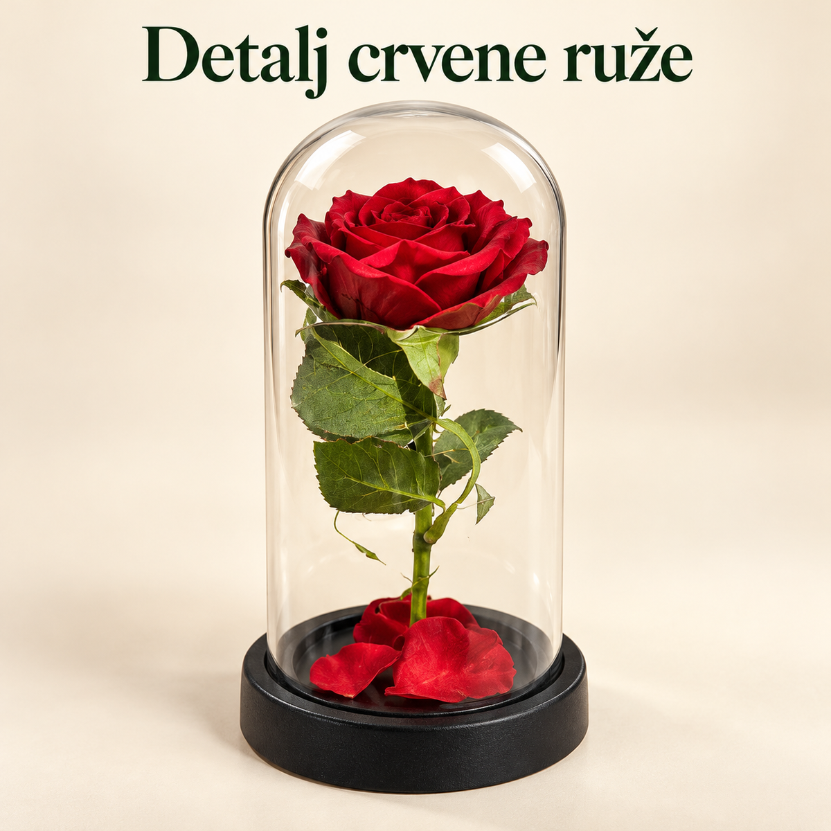 Detalj crvene ruže — Kupi Ružu i izaberi Torbicu
