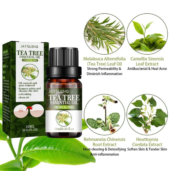 TEA TREE OIL &#8211; Ulje protiv akni